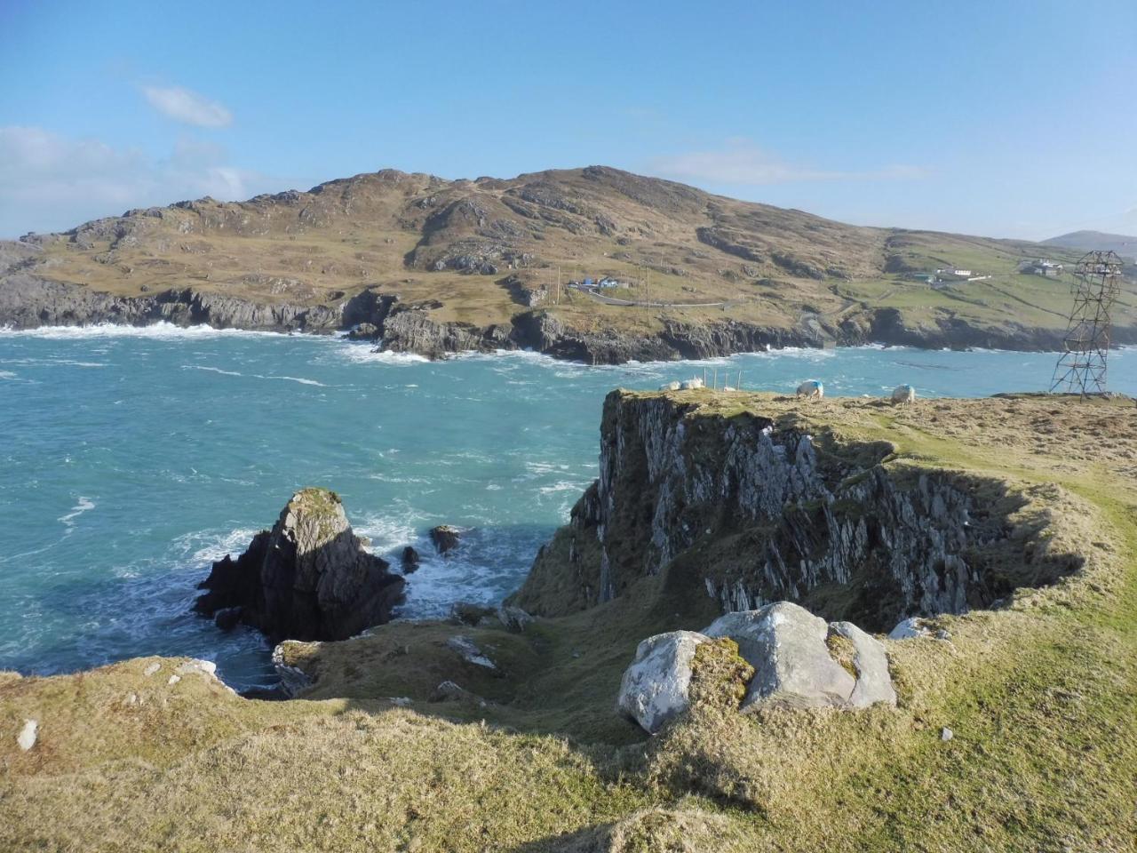 Island View House Bed and Breakfast Castletownbere Eksteriør billede