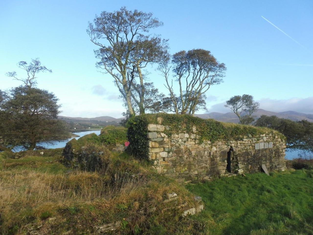 Island View House Bed and Breakfast Castletownbere Eksteriør billede