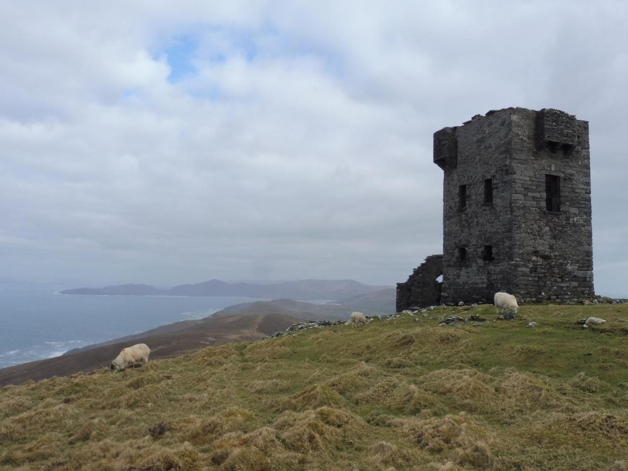 Island View House Bed and Breakfast Castletownbere Eksteriør billede