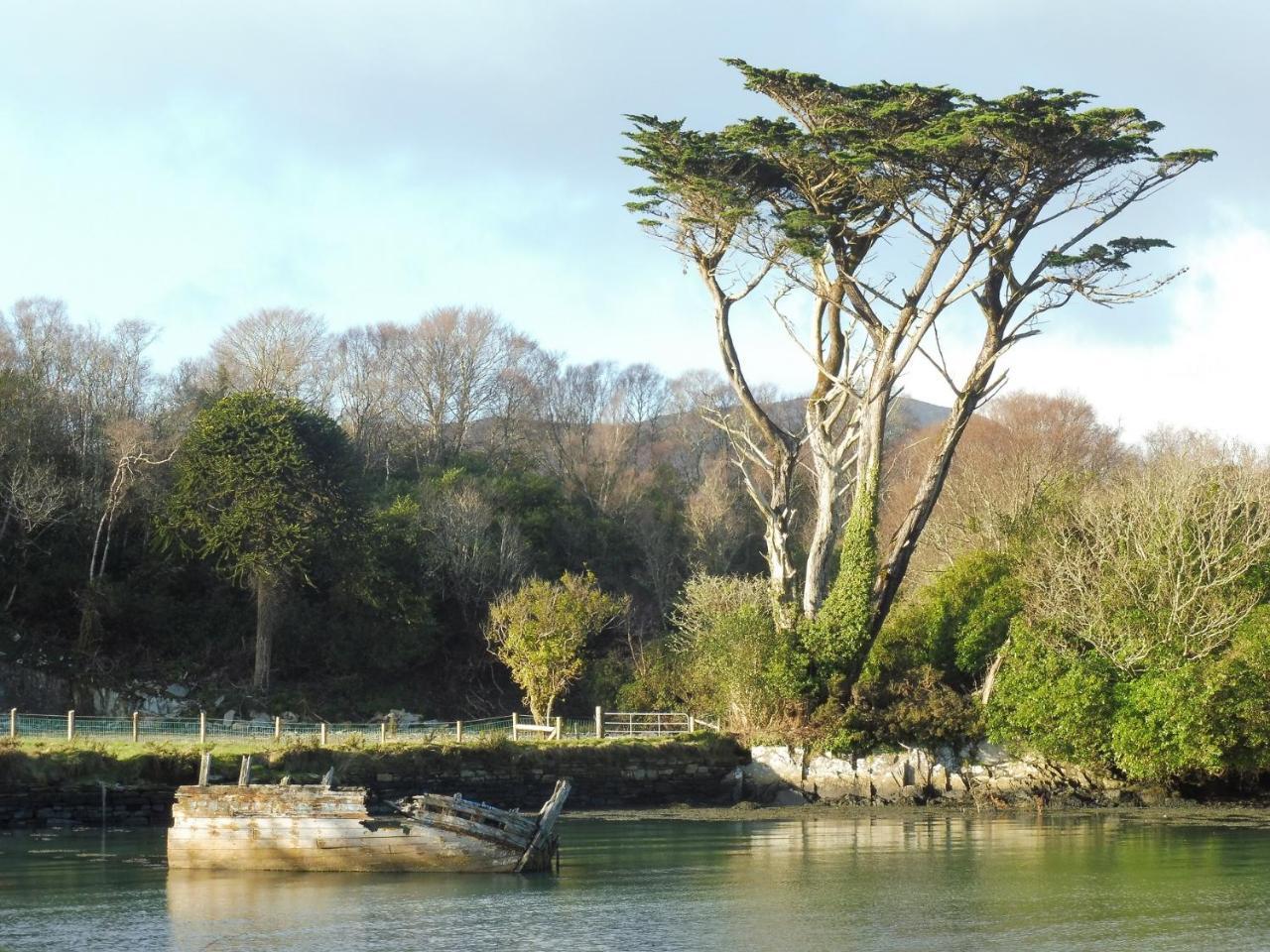 Island View House Bed and Breakfast Castletownbere Eksteriør billede