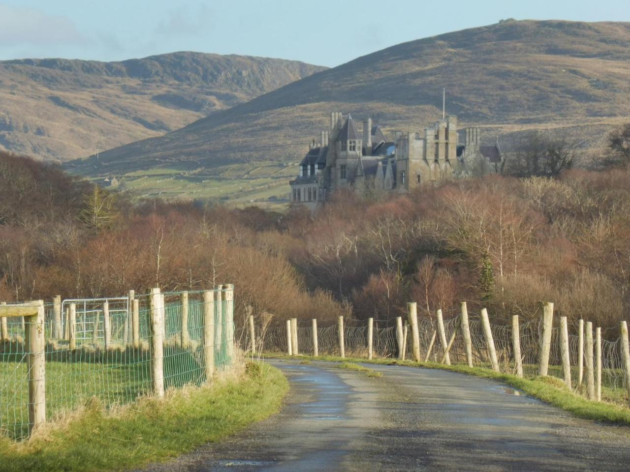 Island View House Bed and Breakfast Castletownbere Eksteriør billede