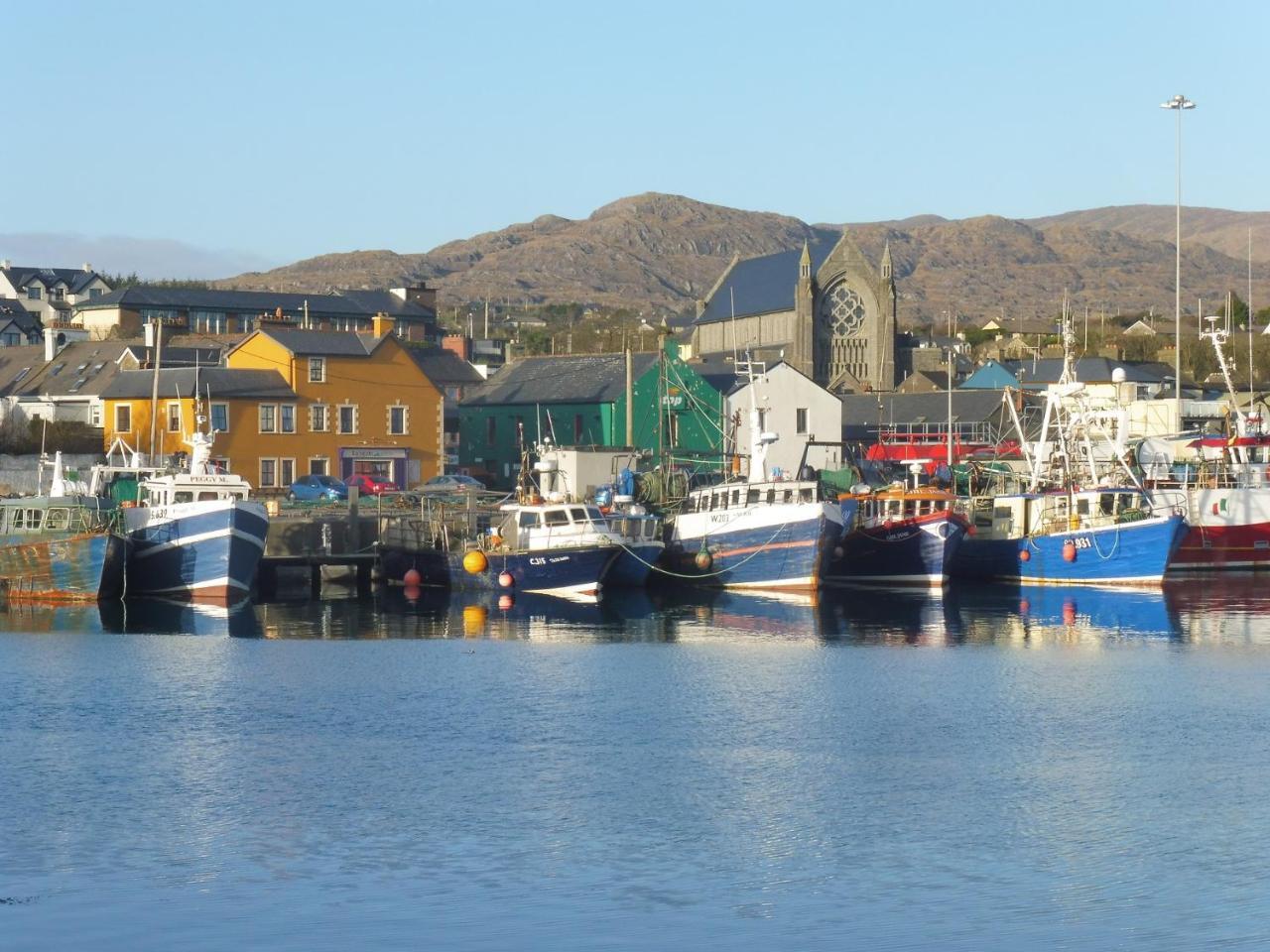 Island View House Bed and Breakfast Castletownbere Eksteriør billede